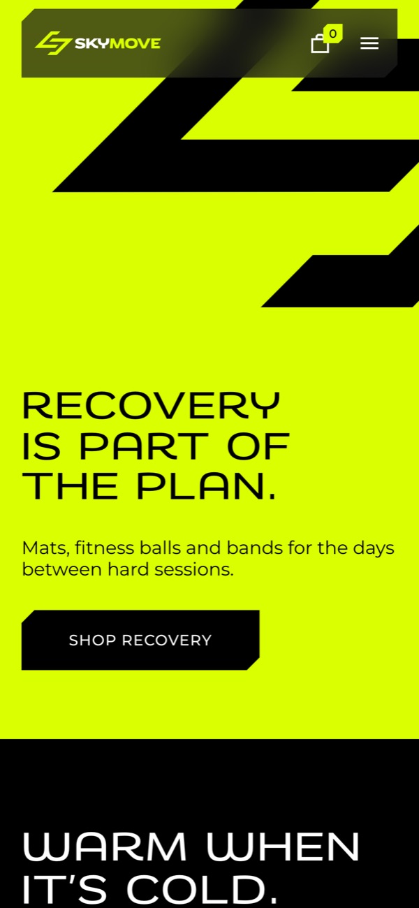 The SkyMove store on a phone: Recovery